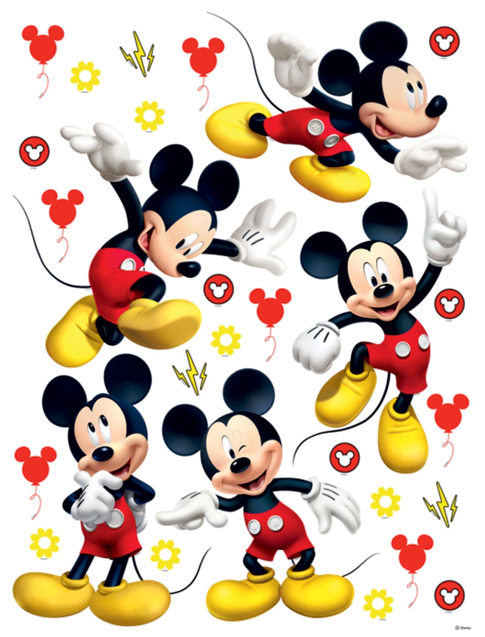 2311 Mickey Disney falmatrica