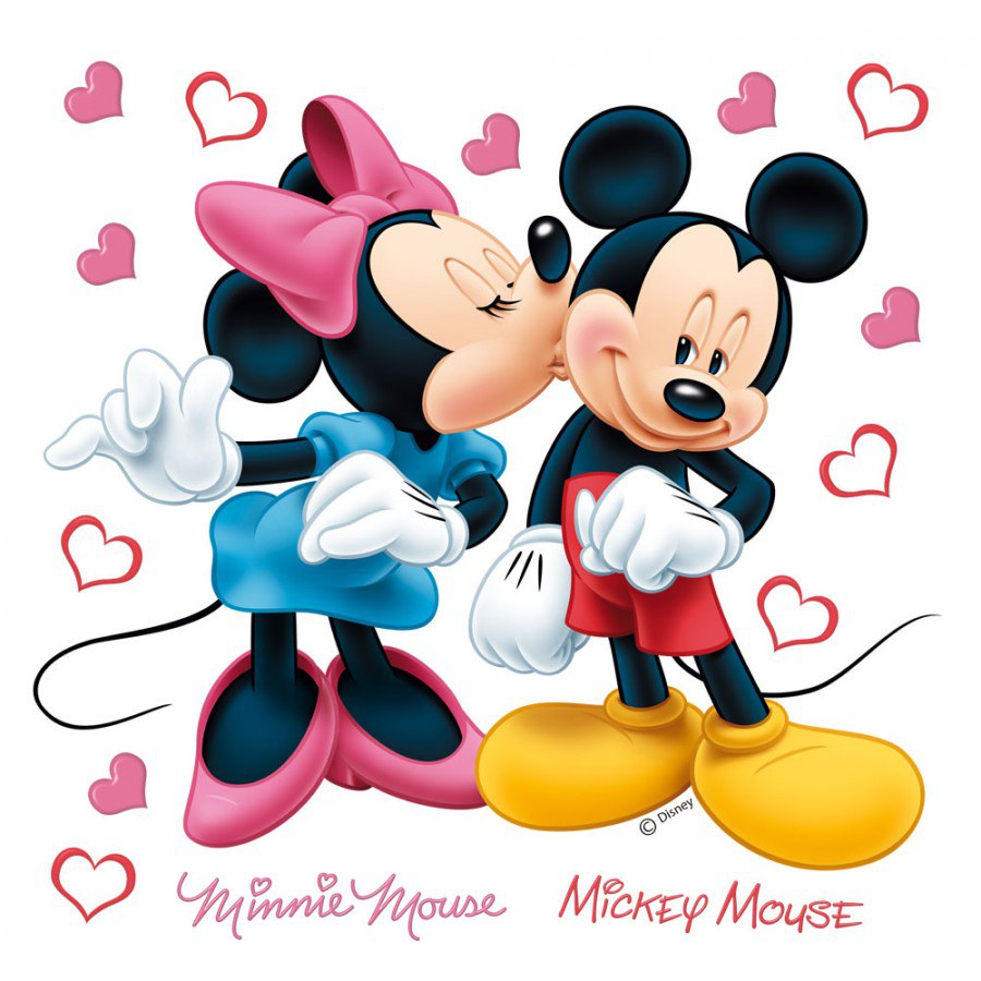 DKS 1085 Minnie Mickey Disney falmatrica